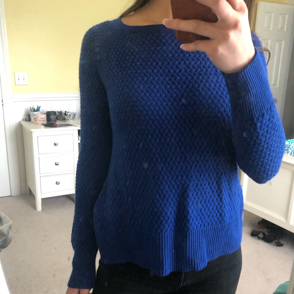 Cobalt Blue American Eagle Sweater